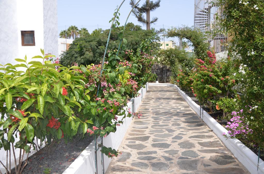 Alsol Las Orquideas 普拉亚戴尔雷安格莱斯 外观 照片